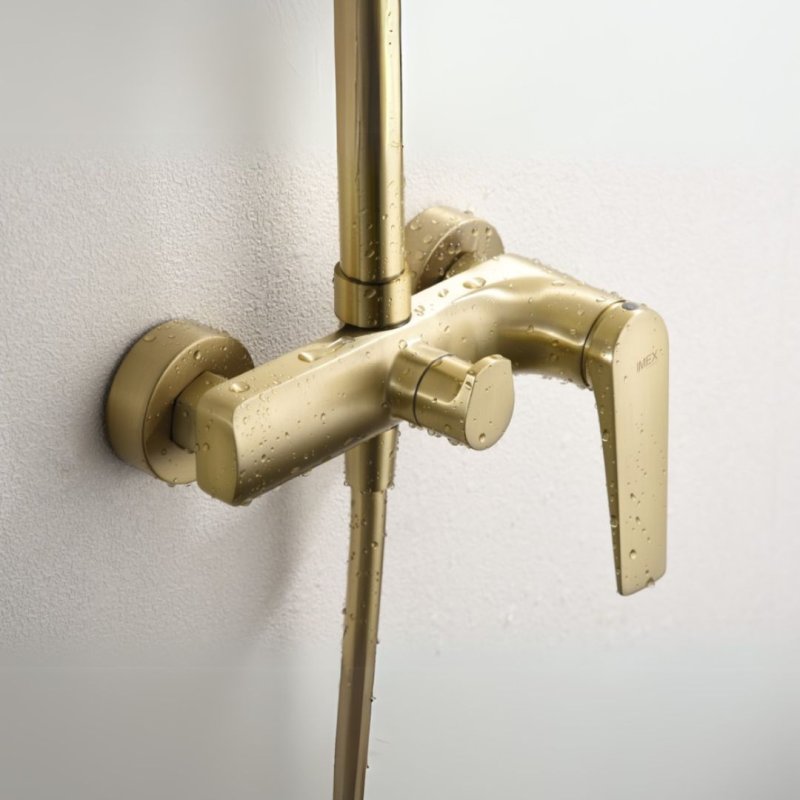 Delos Single-Handle Shower Bar